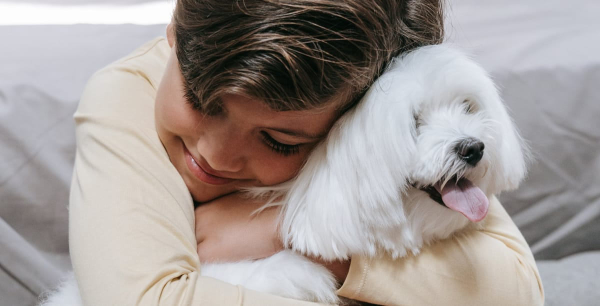 Therapie mit Therapiebegleithund